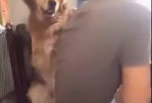 网红狗哥爆料吃瓜事件,揭秘娱乐圈吃瓜大事件！