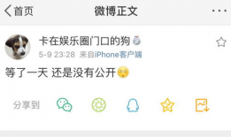 吃瓜爆料音乐叫什么,揭秘“吃瓜爆料”背后的热门歌曲